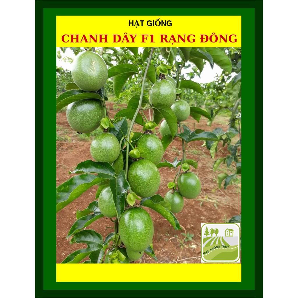 Hạt Giống Chanh Dây F1 Sai Trái 20 Hạt