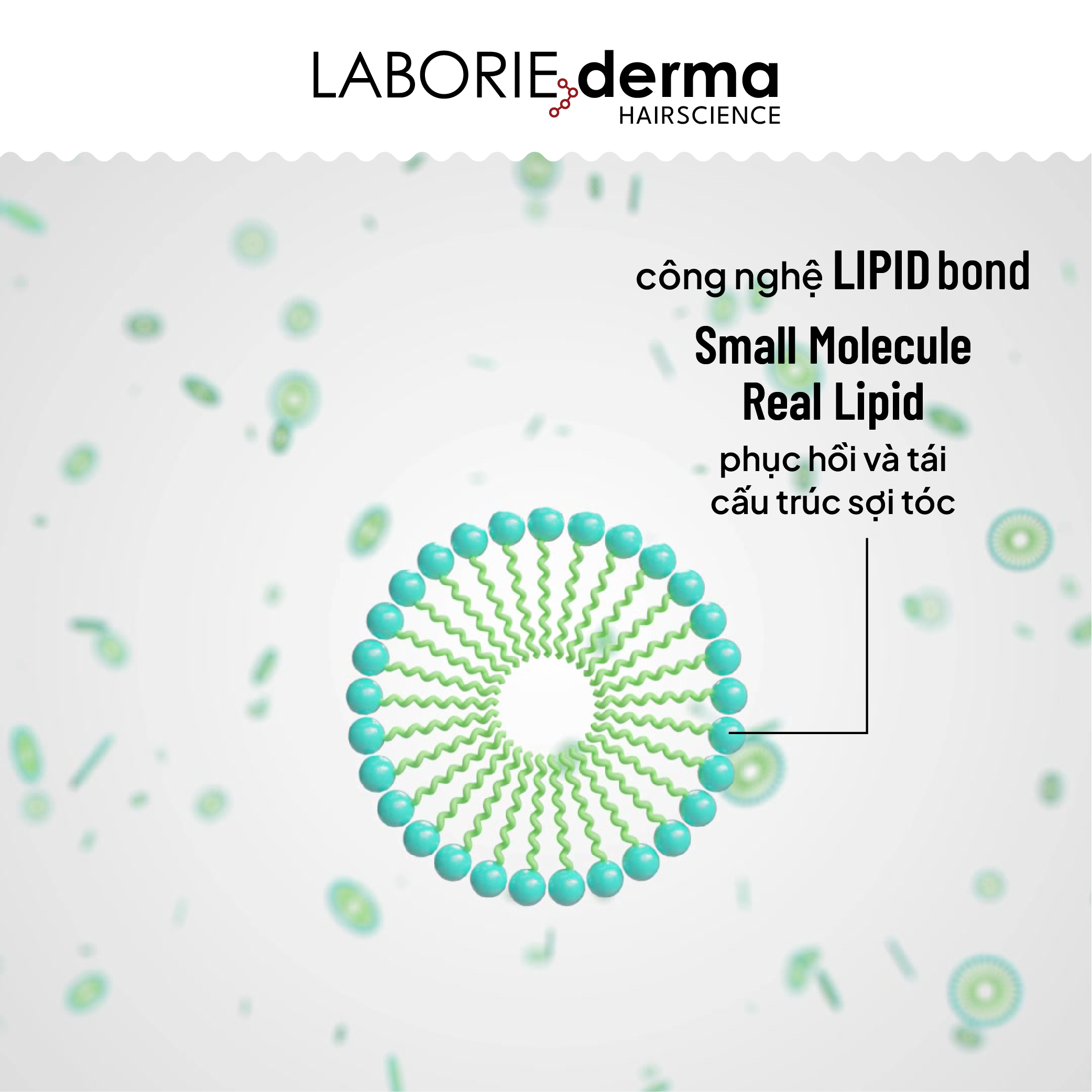 Dầu dưỡng bảo vệ tóc, giúp tóc bóng mượt và chắc khỏe LABORIE derma Lipid Bond Hair Oil - 30ml