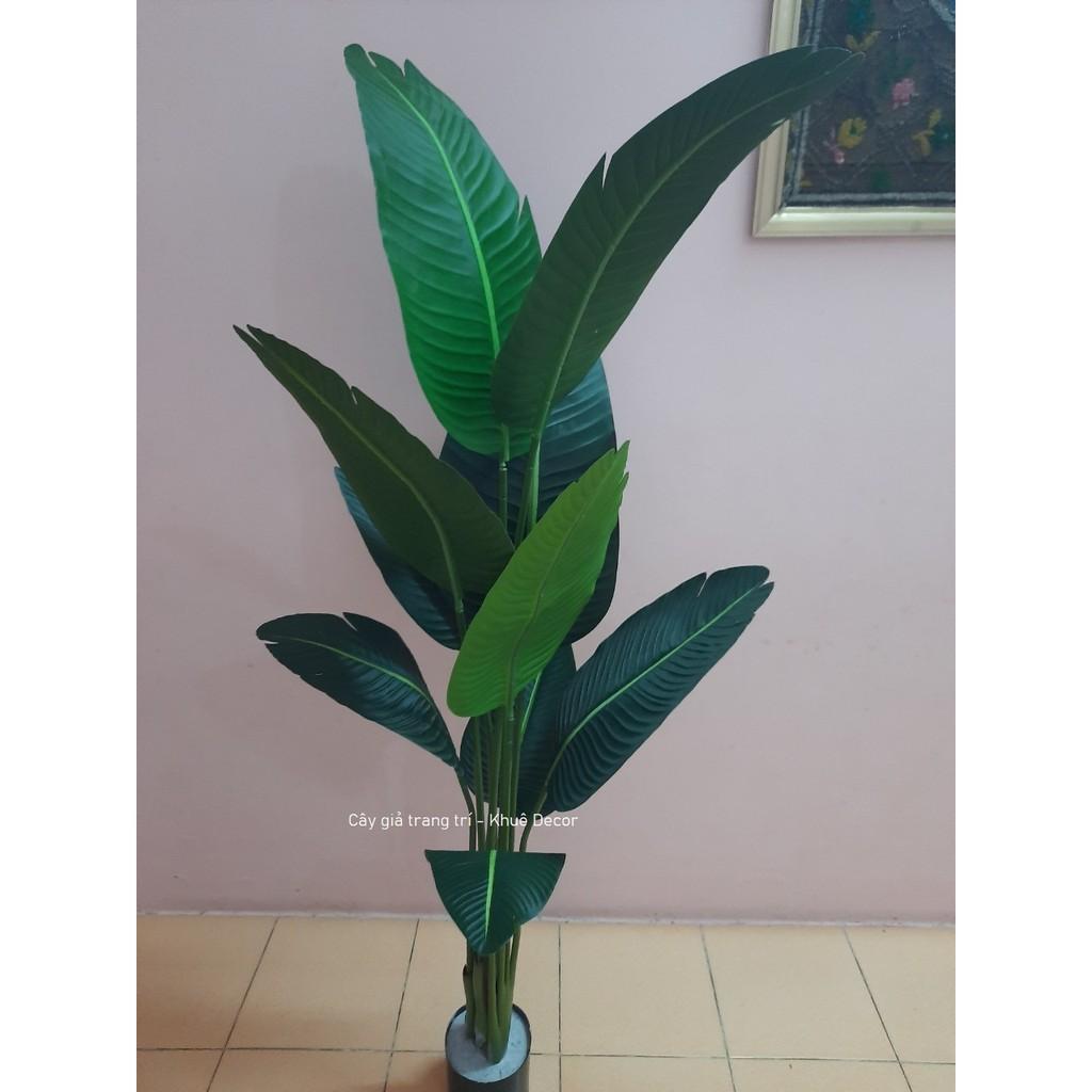 Cây chuối giả 1m6 cao cấp kèm chậu cói