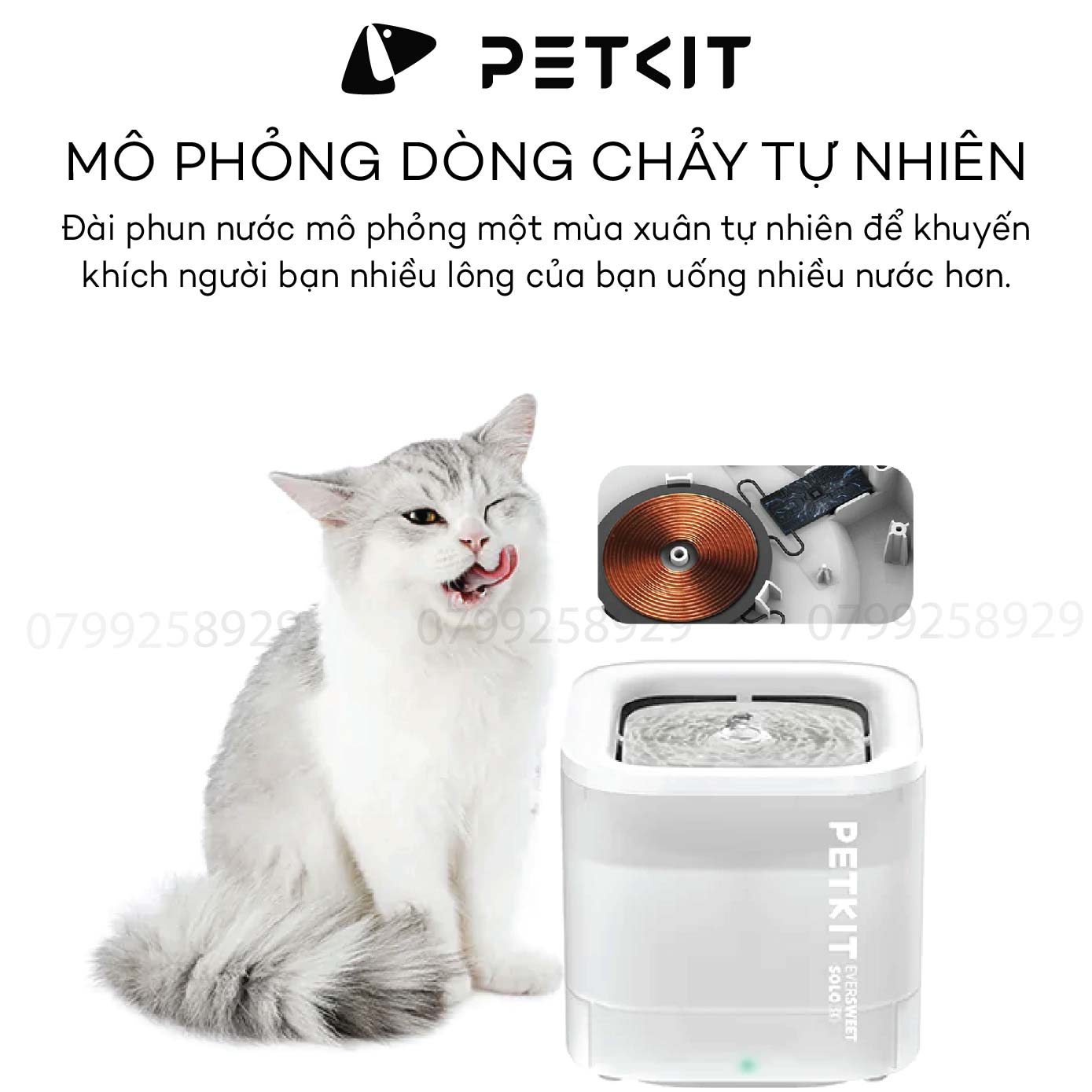 Máy Lọc Nước Cho Mèo, Máy Uống Nước Bơm Không Dây Petkit EVERSWEET SOLO SE (WIRELESS PUMP)