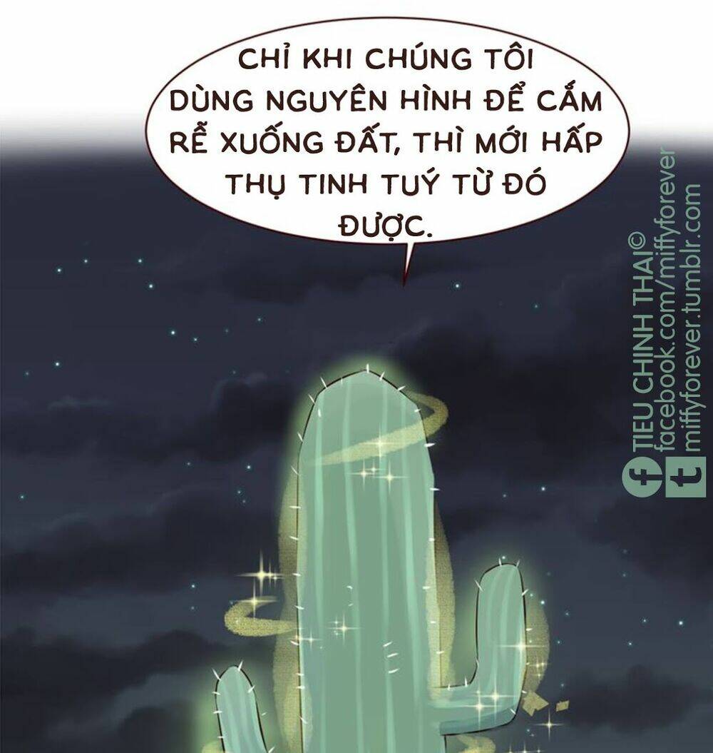 bạn trai xương rồng chapter 5 16