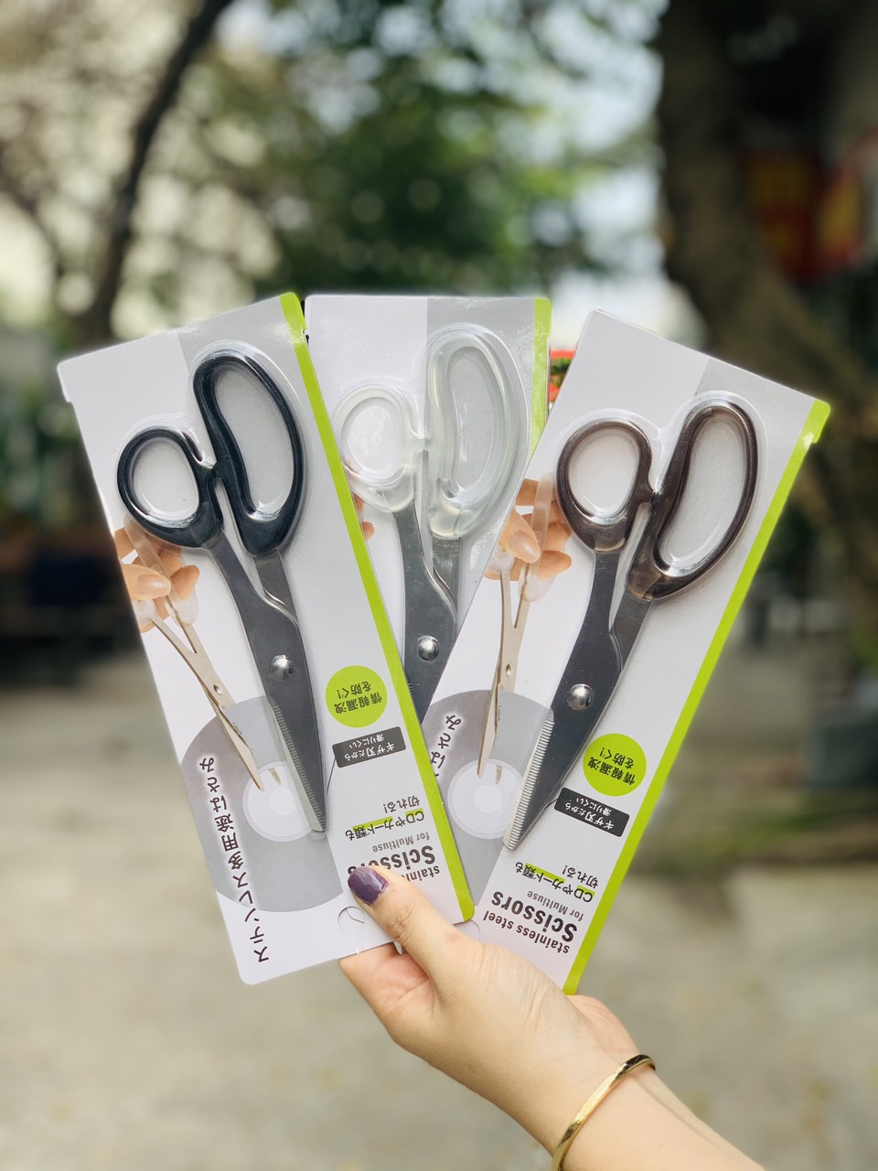 Combo kéo văn phòng Echo Metal 18cm + bấm móng tay cao cấp size M - nội địa Nhật Bản