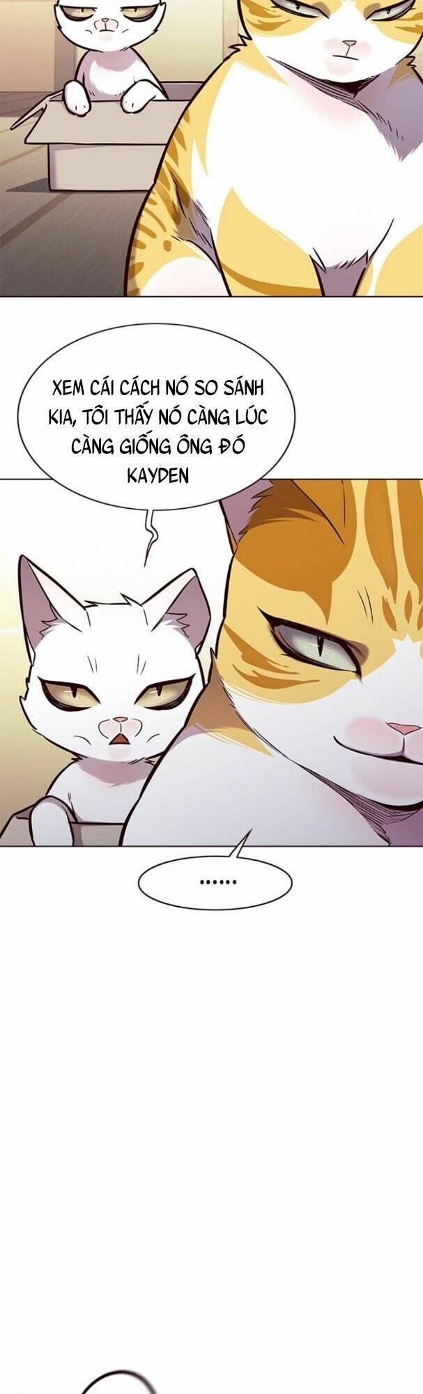 biến thân thành mèo chapter 174 39