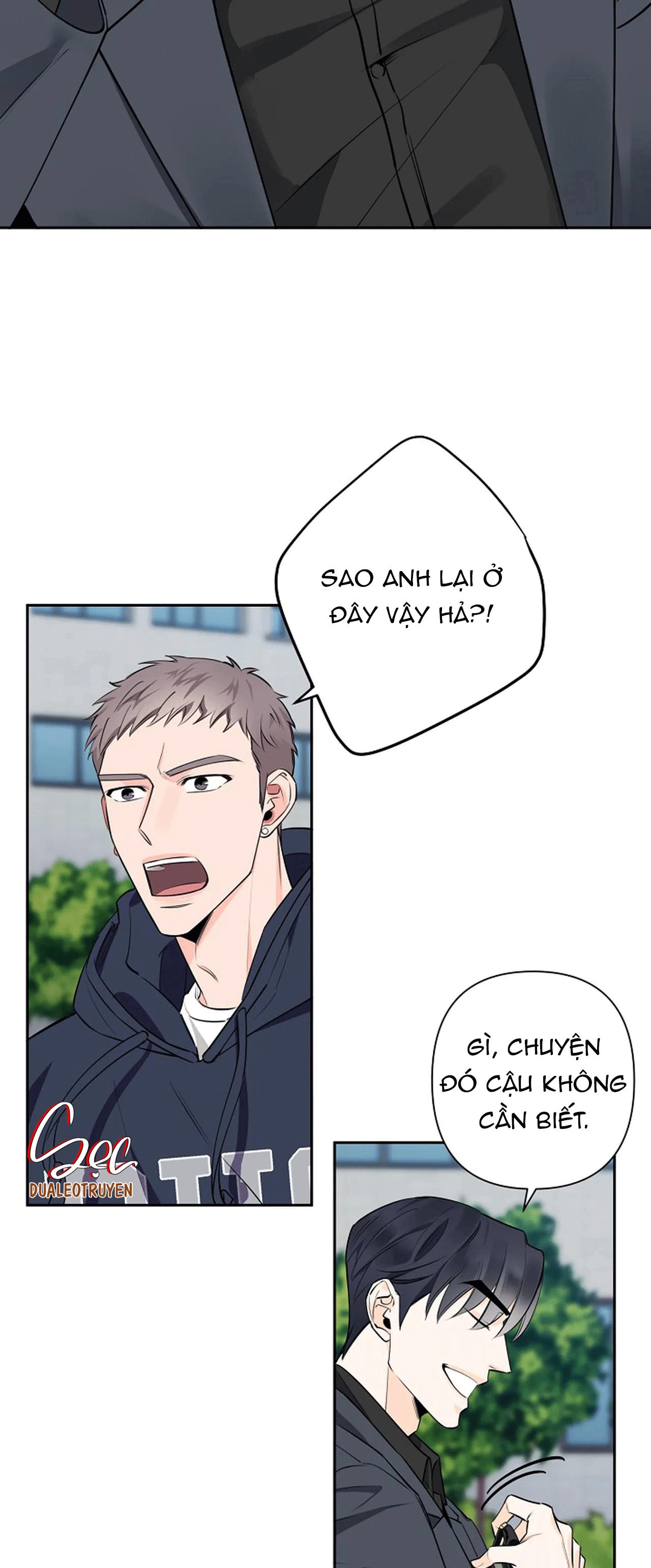 đêm dịu dàng chapter 33 29