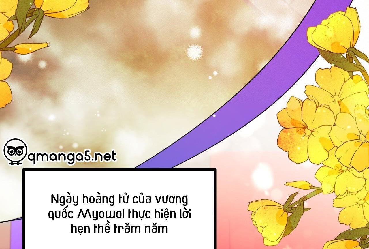những chú thỏ của hapypy chapter 65 120