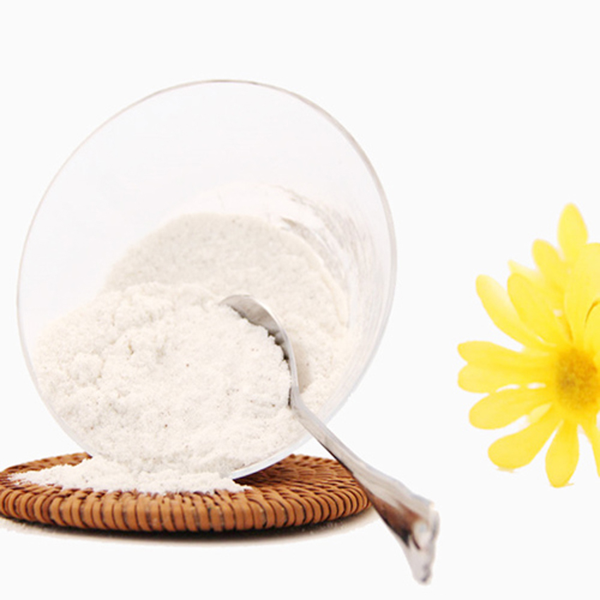 TN3 Cloramin T diệt khuẩn & trị nấm mang ở cá 50ml