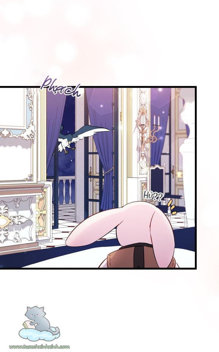 quan hệ cộng sinh giữa báo đen và thỏ trắng chapter 57 6