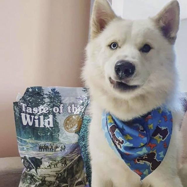 Thức Ăn Cho Chó Samoyed Taste Of The Wild Bao 2kg - Thức Ăn Cho Chó Vị Thịt Cừu, Trái Cây Rau Củ Quả