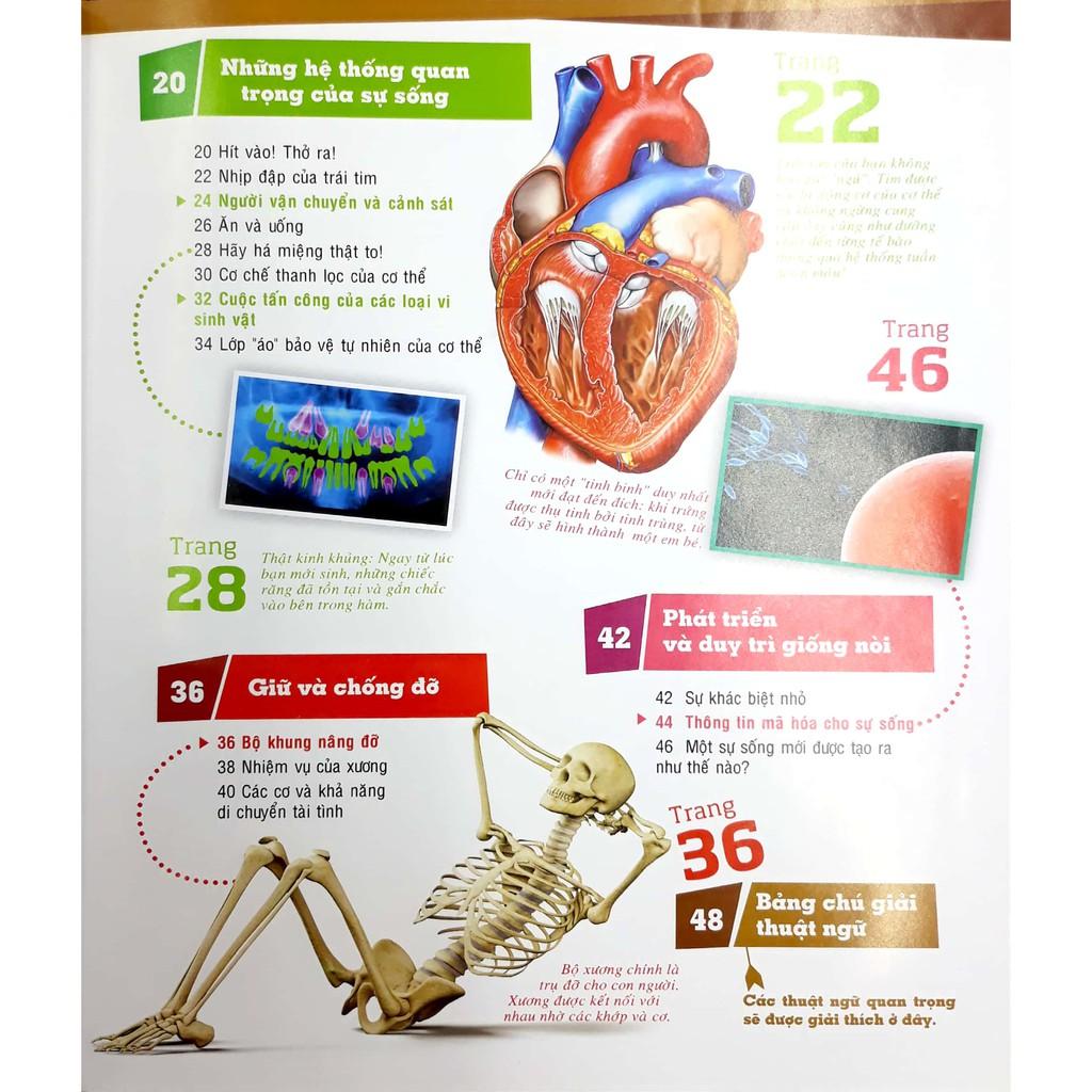 Khám Phá  Thế Nào Và Tại Sao  Cơ Thể Người Tuyệt Tác Của Tạo Hóa - Bản Quyền