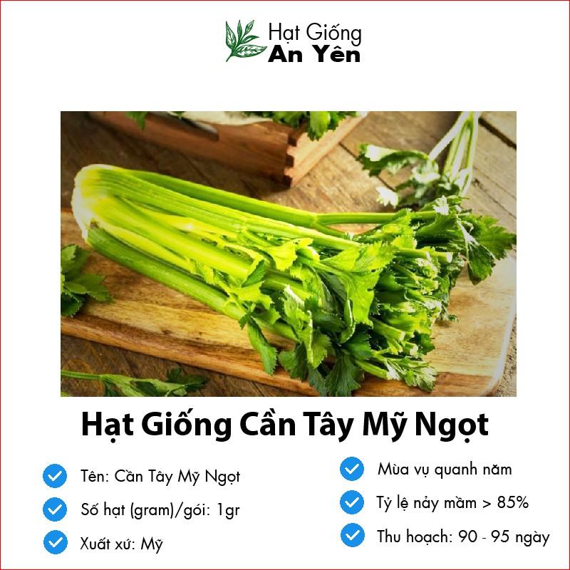 Hạt giống Cần Tây ngọt, nhanh thu hoạch, dễ trồng, nảy mầm và năng suất cao
