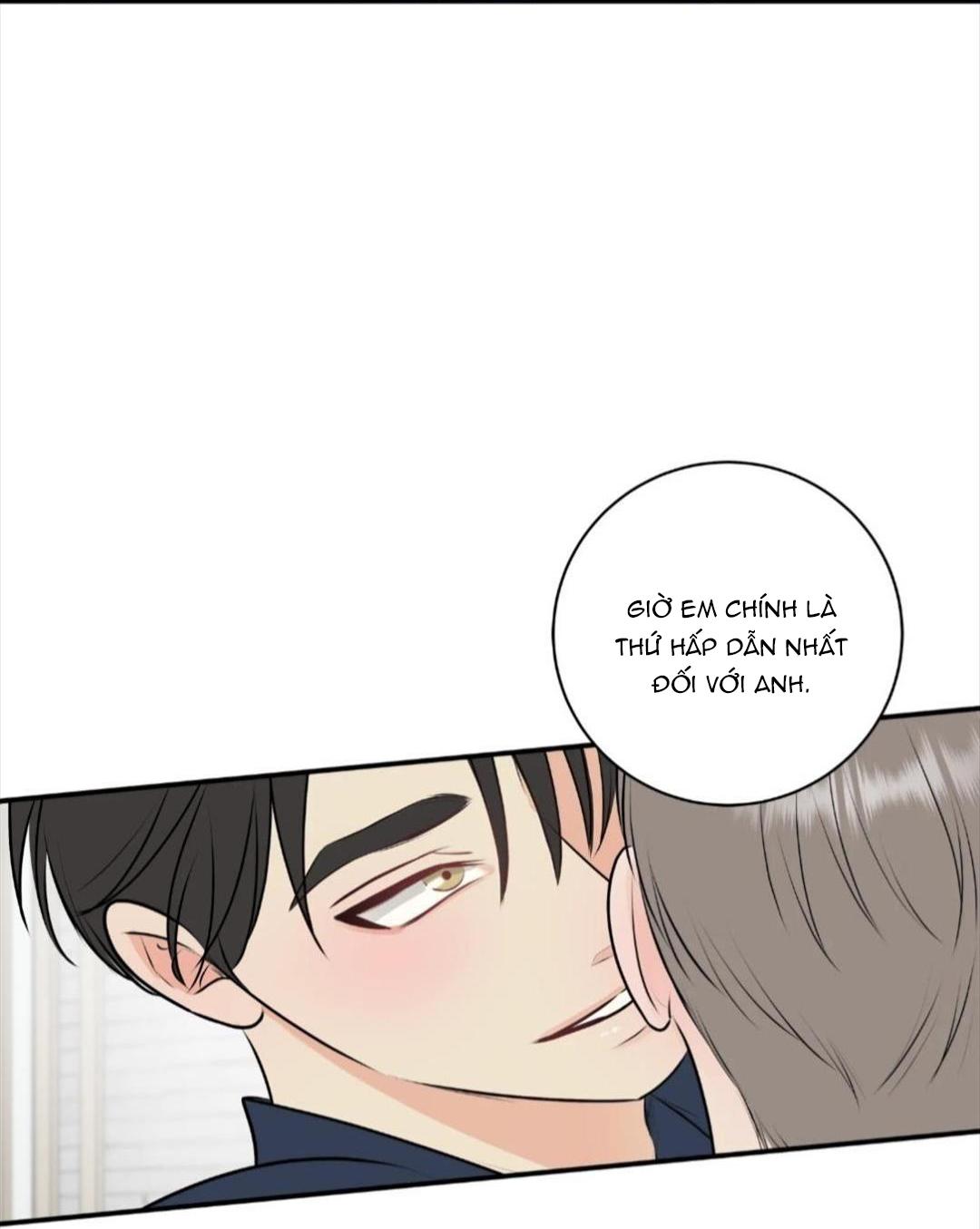 hạnh phúc trọn vẹn chapter 22 30