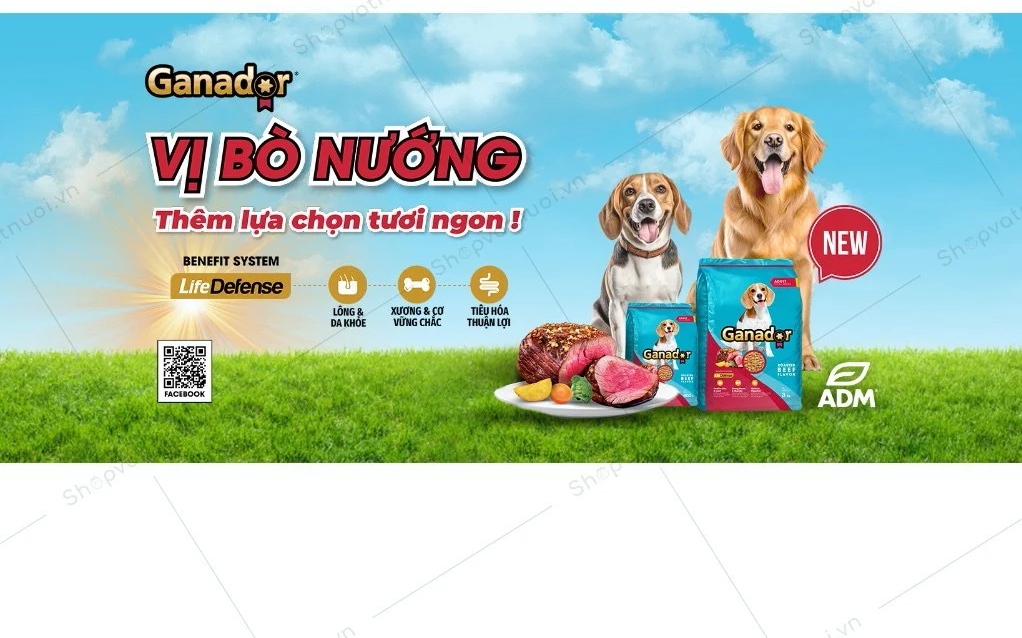 20KG Thức Ăn Hạt Chó Lớn Ganador Roasted Beef Flavor - Vị Bò Nướng - Thức ăn hạt cho Chó