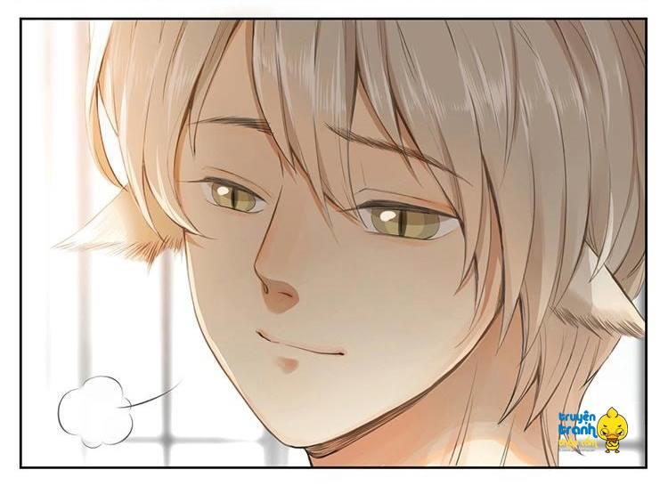 cứu mạng ! loài mèo thống trị thế giới rồi ! chapter 27 6