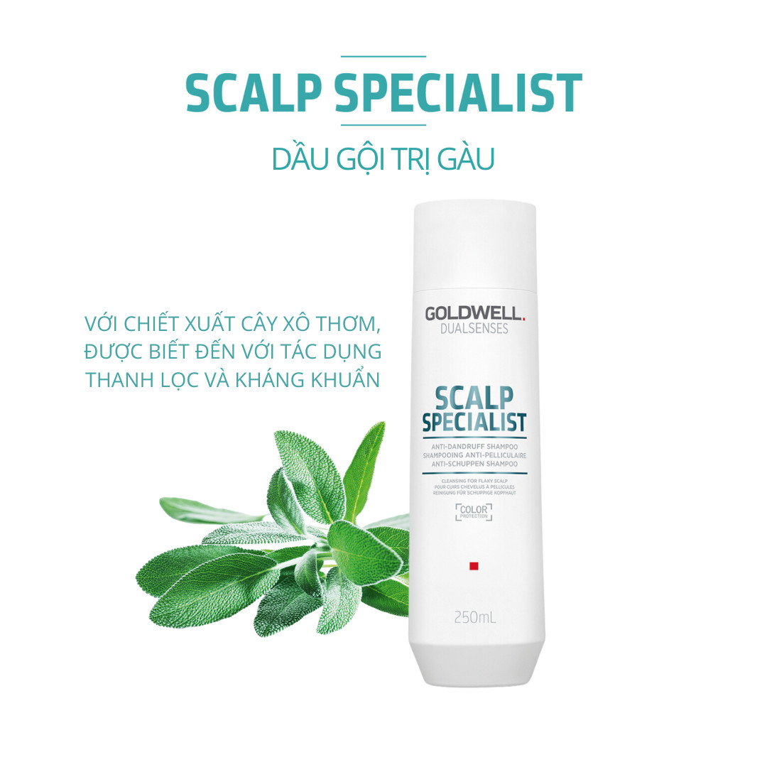 Dầu Gội Sạch Gàu Goldwell Scalp Specialist Làm Sạch Sâu, Giảm Ngứa, Ngăn Ngừa Gàu Quay Trở Lại 250ml