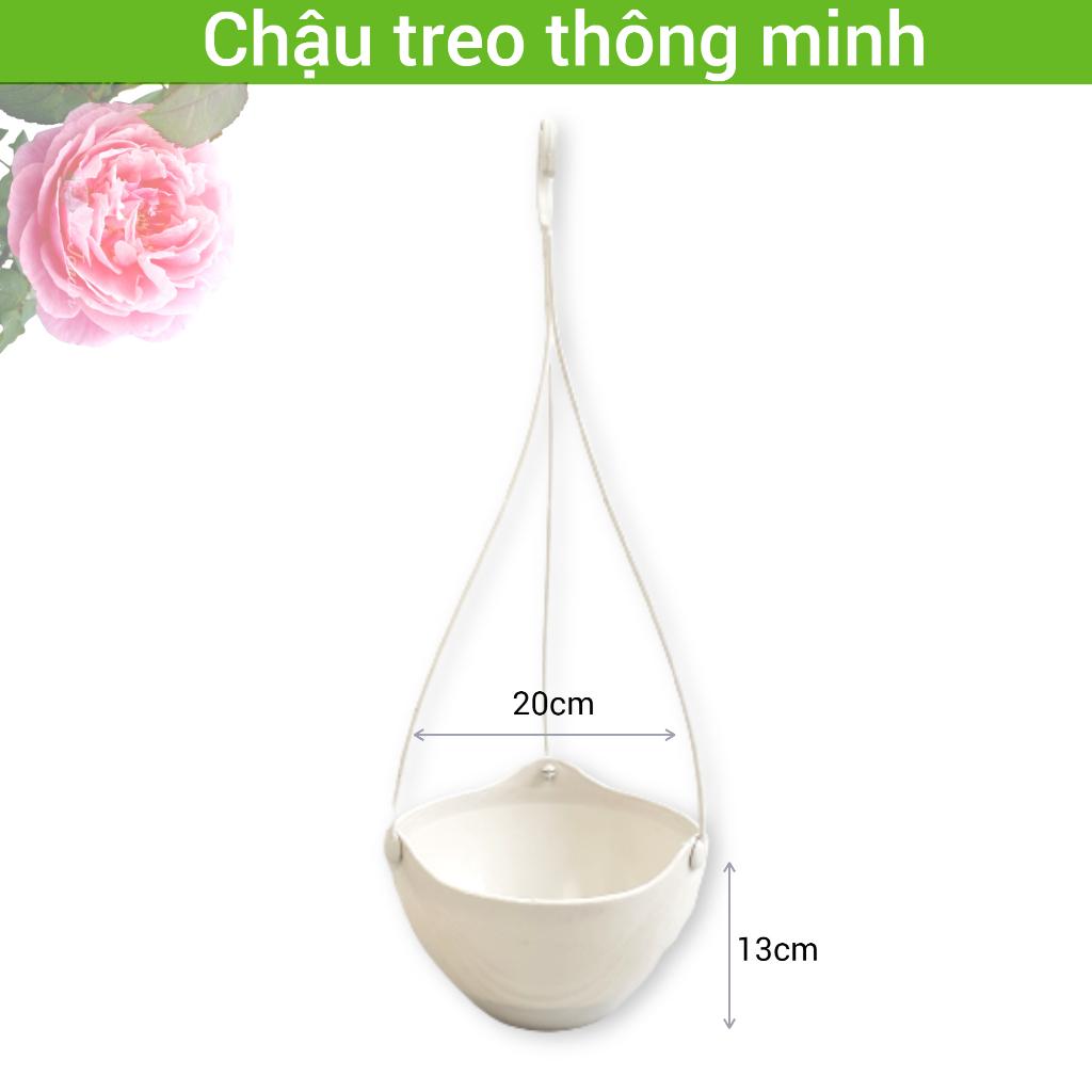 Chậu treo thông minh trồng cây cảnh, hoa kiểng hình tròn vân sọc