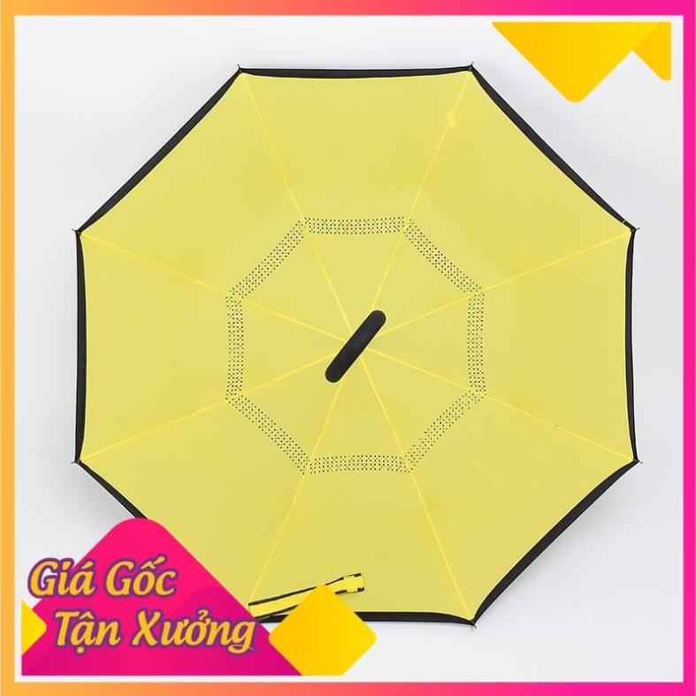 Dù Gấp Ngược Đi Mưa Thông Minh Tay Cầm Chữ C Tiện Lợi  TP'S