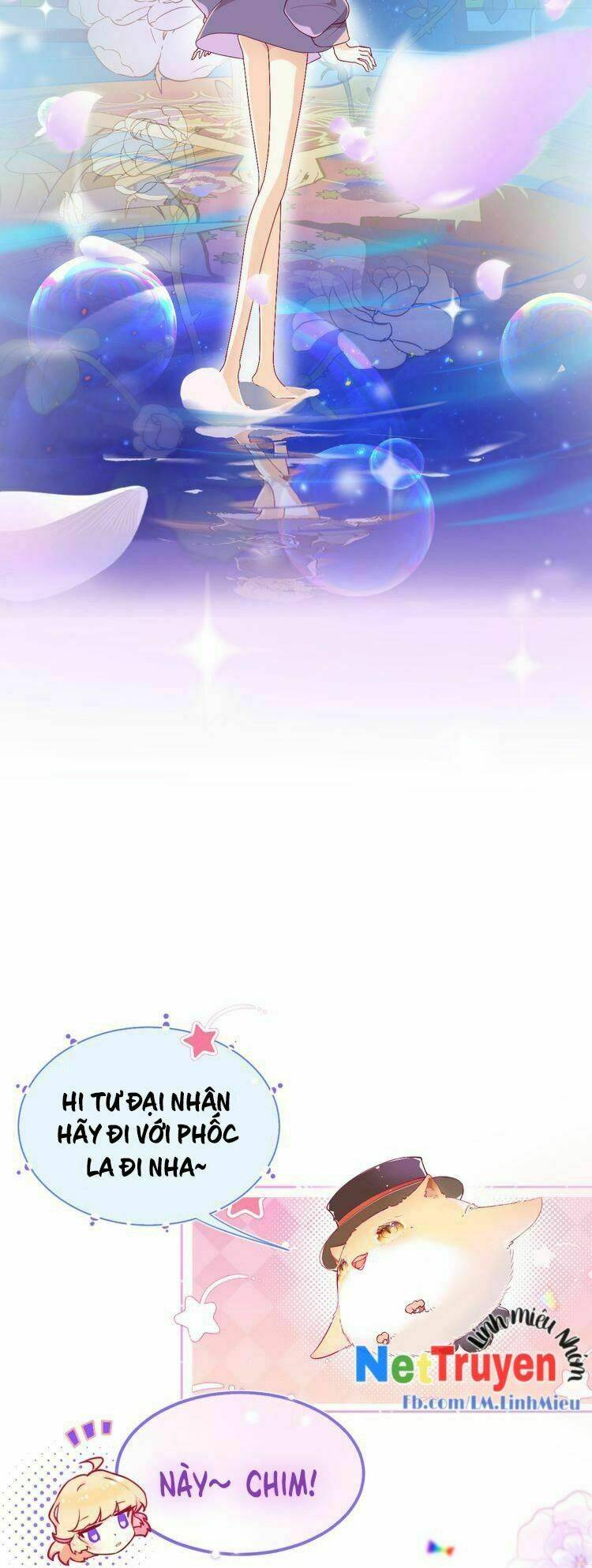 thuần bạch vận mệnh chi luân chapter 1 8