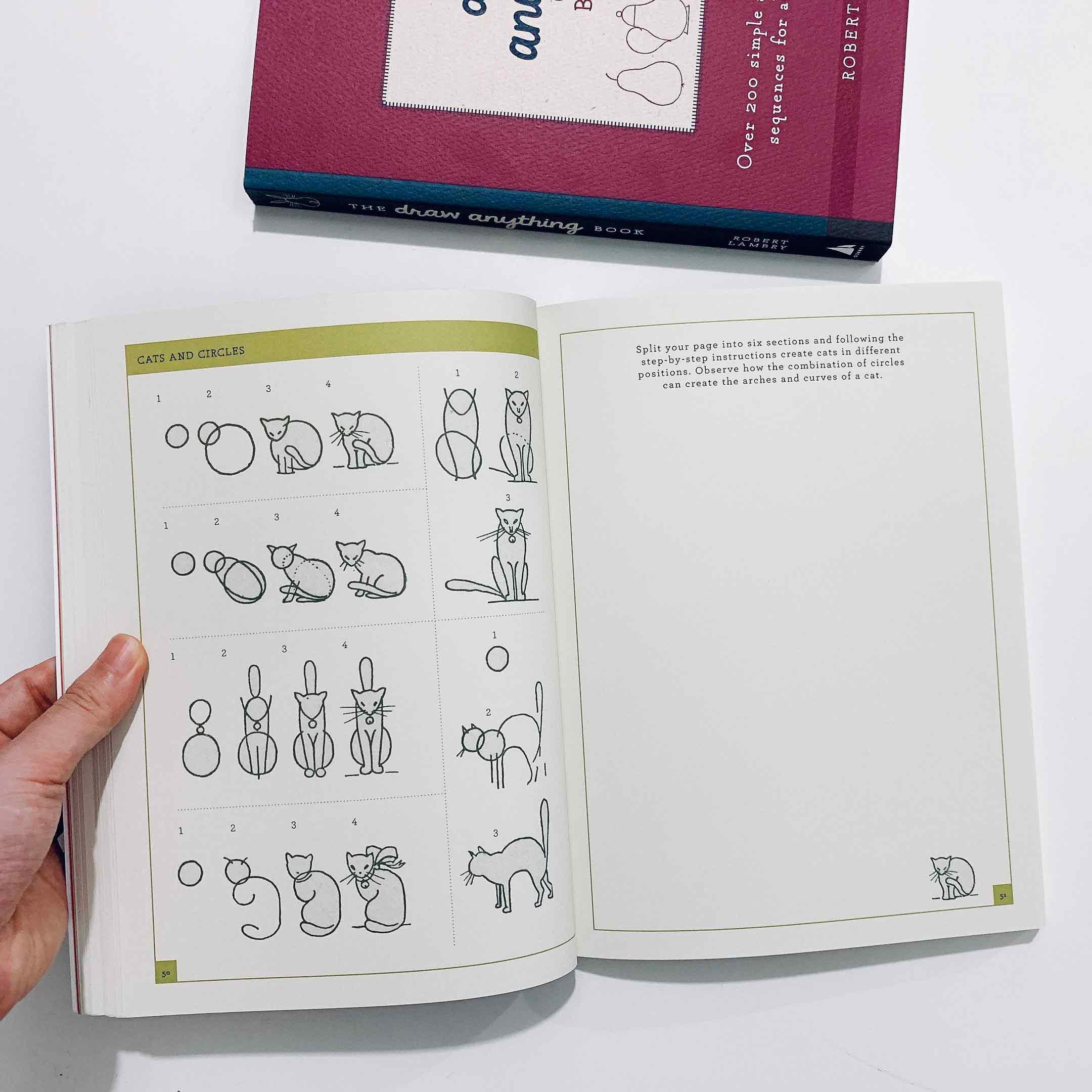 The Draw Anything Book