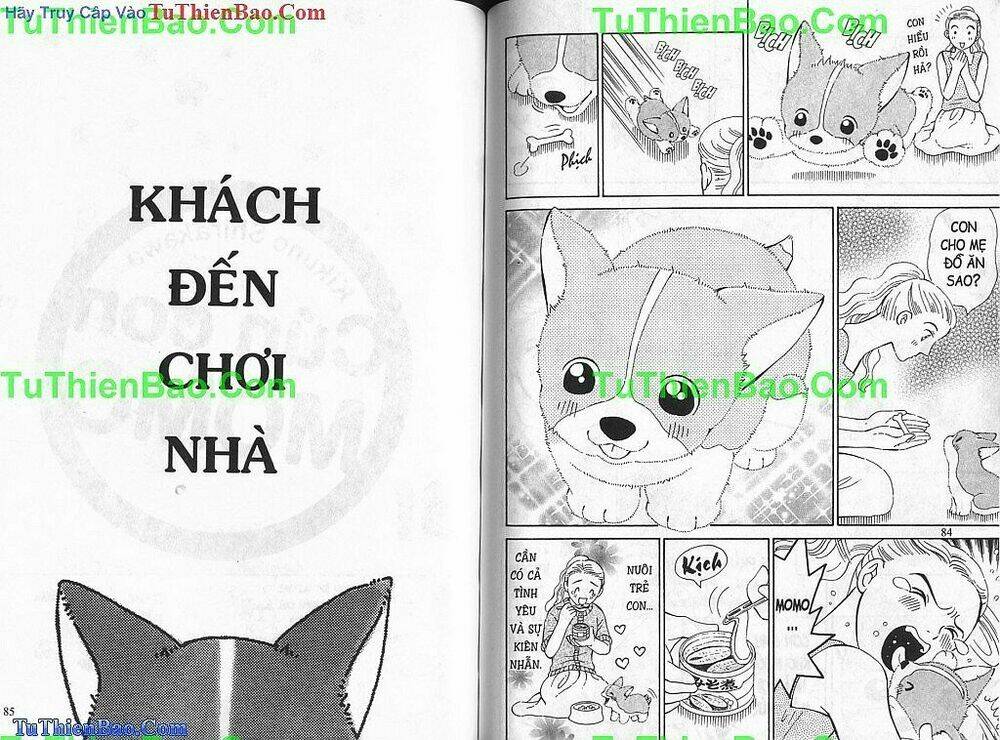 chó con mo mo chapter 1 43