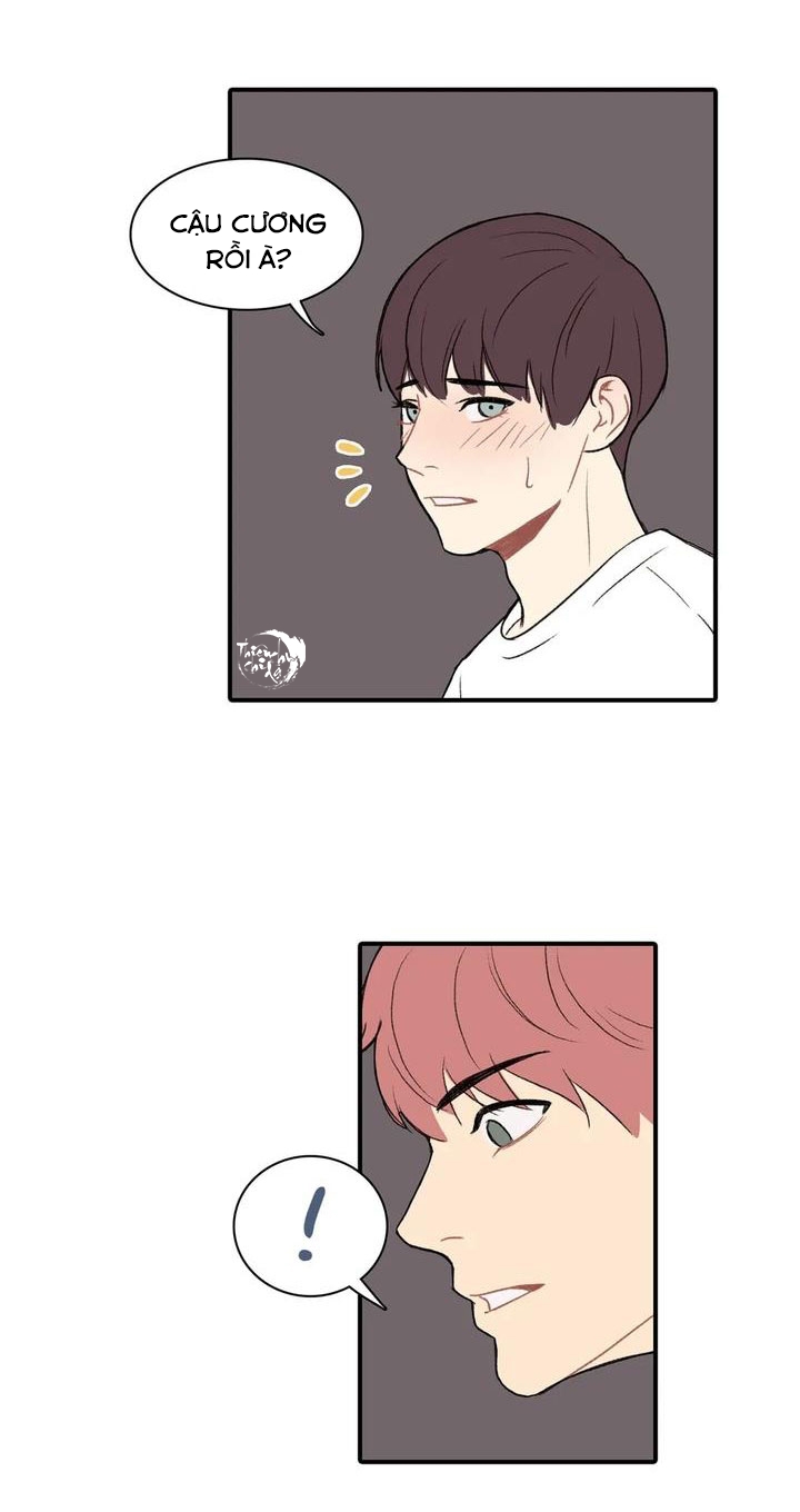 yêu đương chốn học đường chapter 6 33