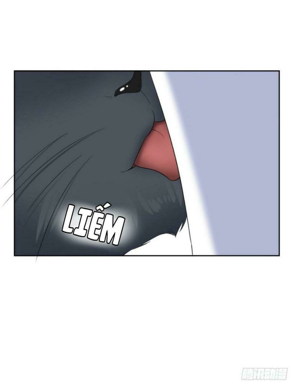 mộ thiếu, lão bà ngươi trọng sinh lại rồi! chapter 14 3