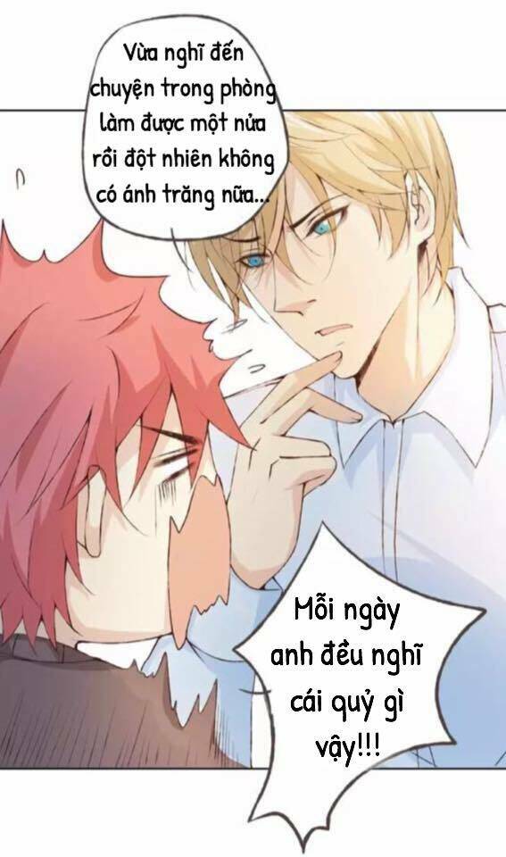 tôi không phải đa nhân cách chapter 36 38