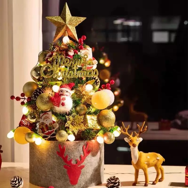 Cây thông Noel