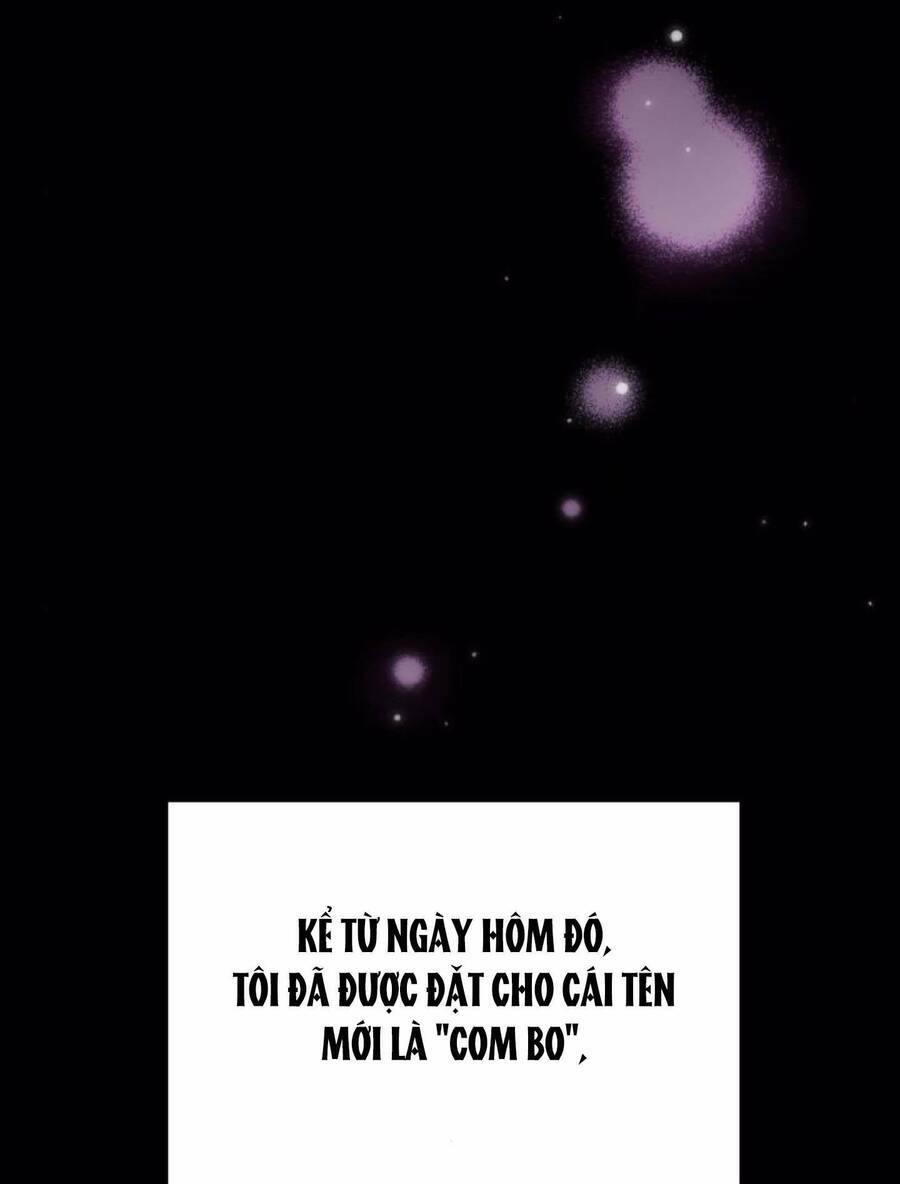 cô đi mà lấy chồng tôi đi chapter 67 64