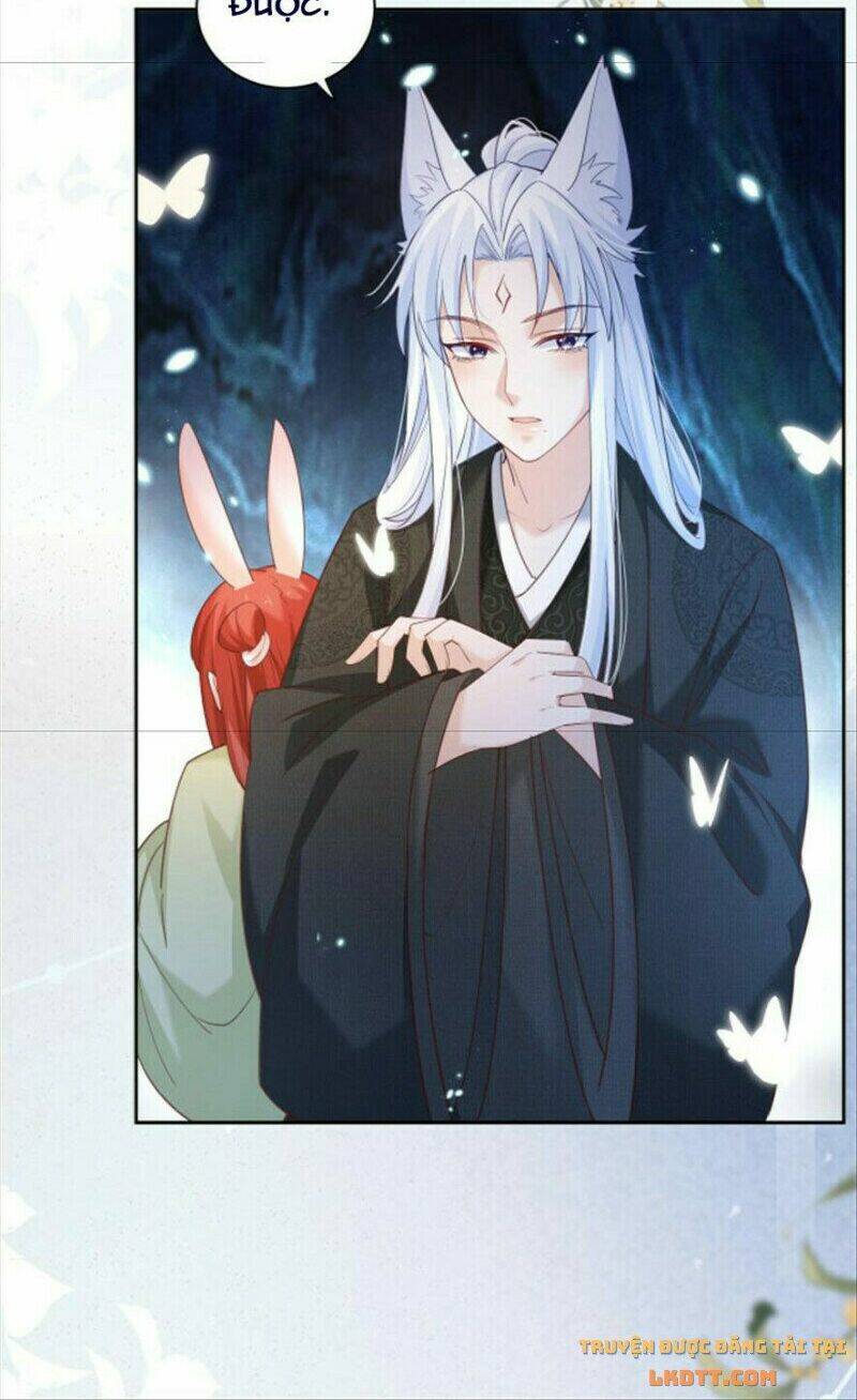 hắc hóa nam chính trực tuyến nuôi thỏ chapter 51 34