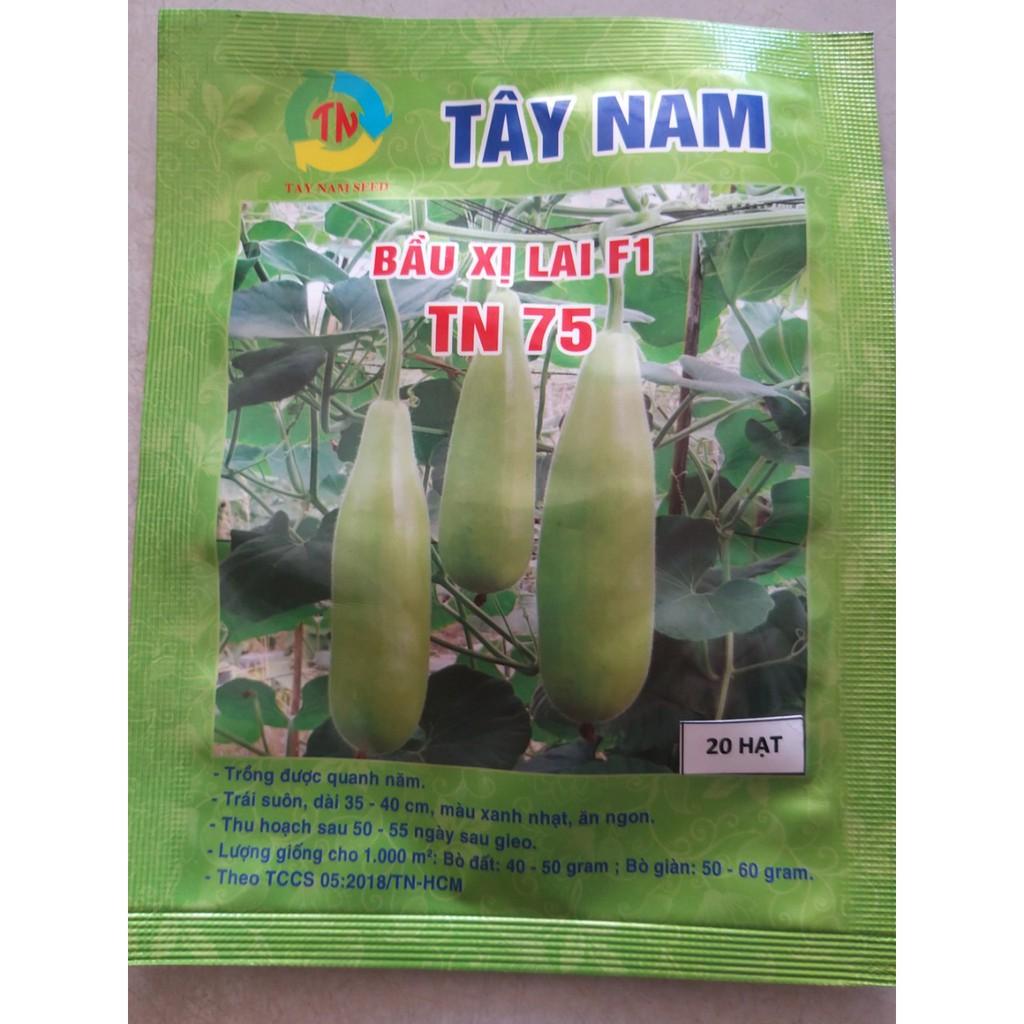 Hạt giống bầu xị Tây Nam