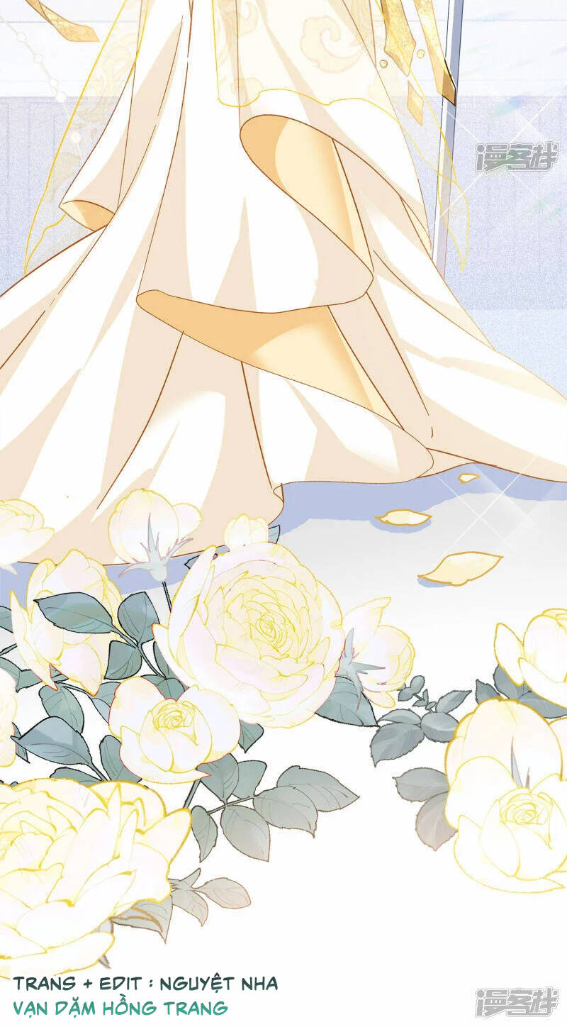 cô ấy đến rồi, xin nằm xuống! chapter 205 22