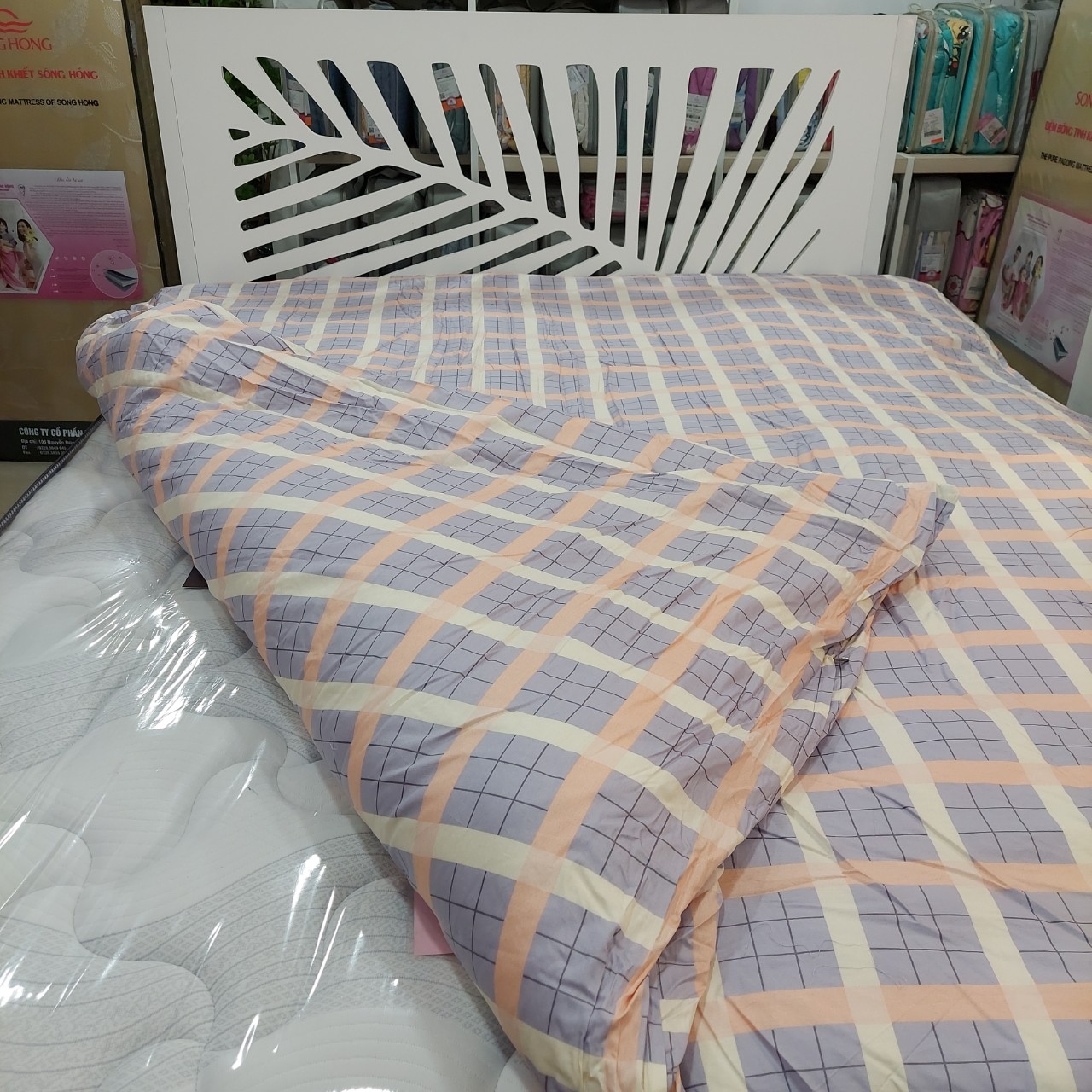 Chăn đông Sông Hồng 2mx2.2m chất cotton