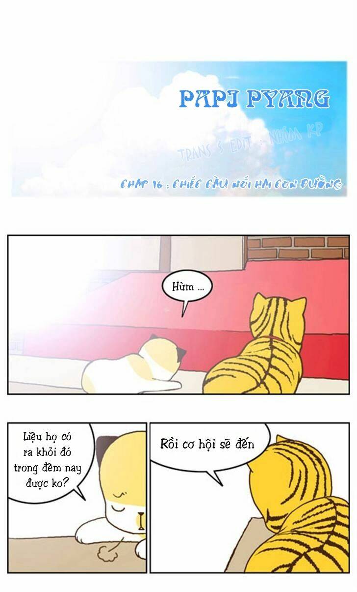 papi nyang chapter 16 5