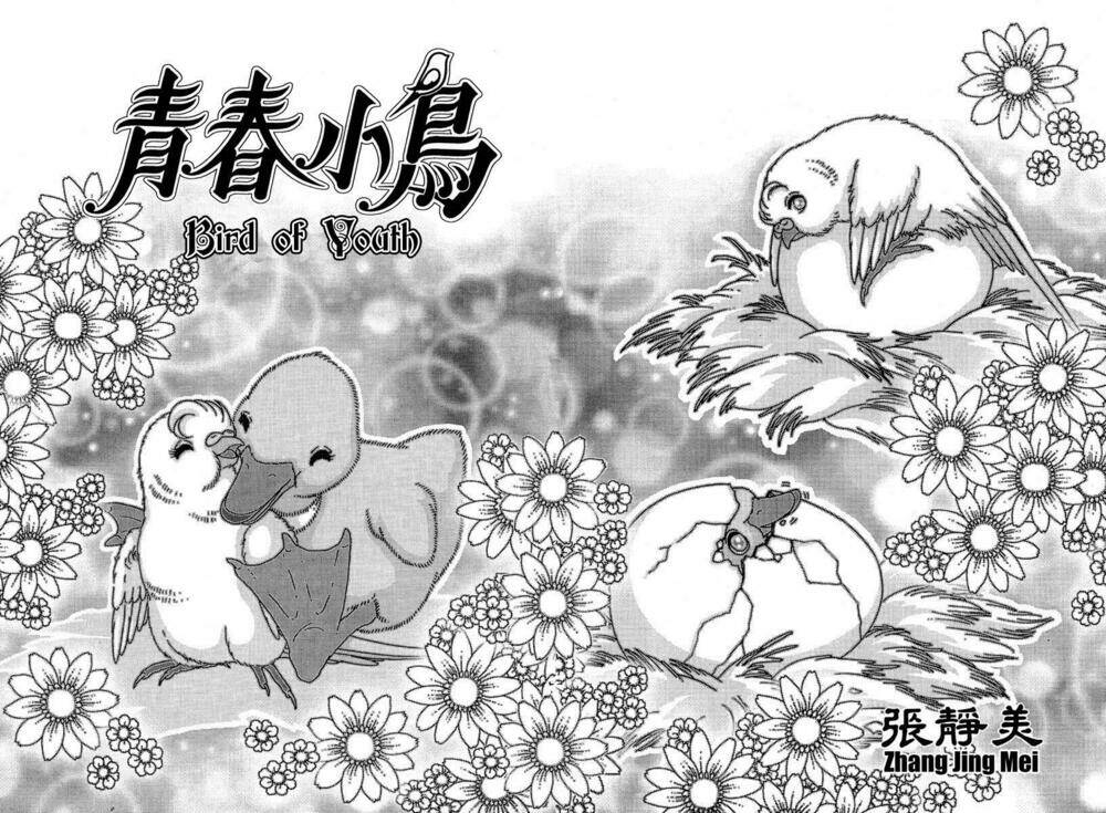 bird of youth chapter 5 4