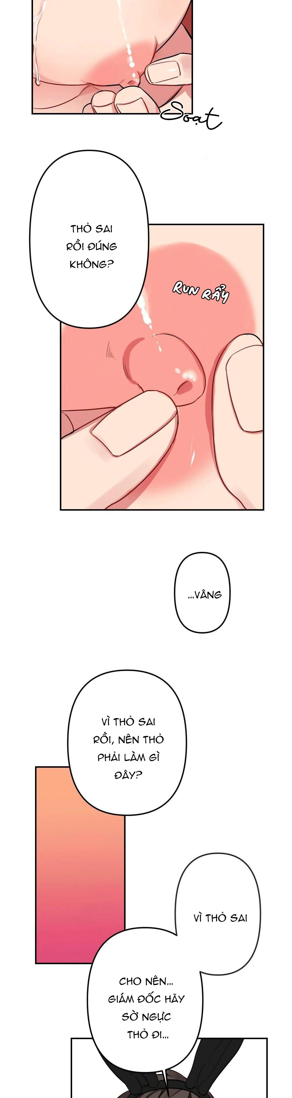 chăm sóc chapter 14 11
