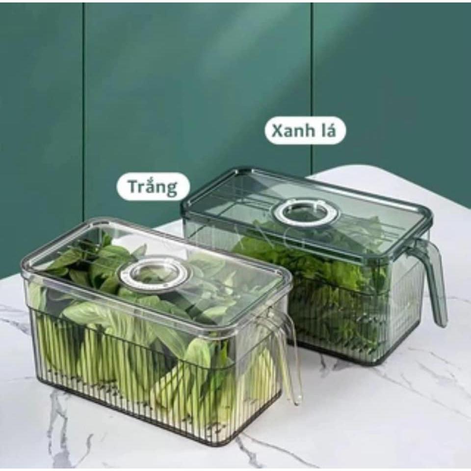 Hộp Bảo Quản Thực Phẩm Tủ Lạnh 3.5L Trong Suốt Có Khay Lót Đáy Và Tay Cầm