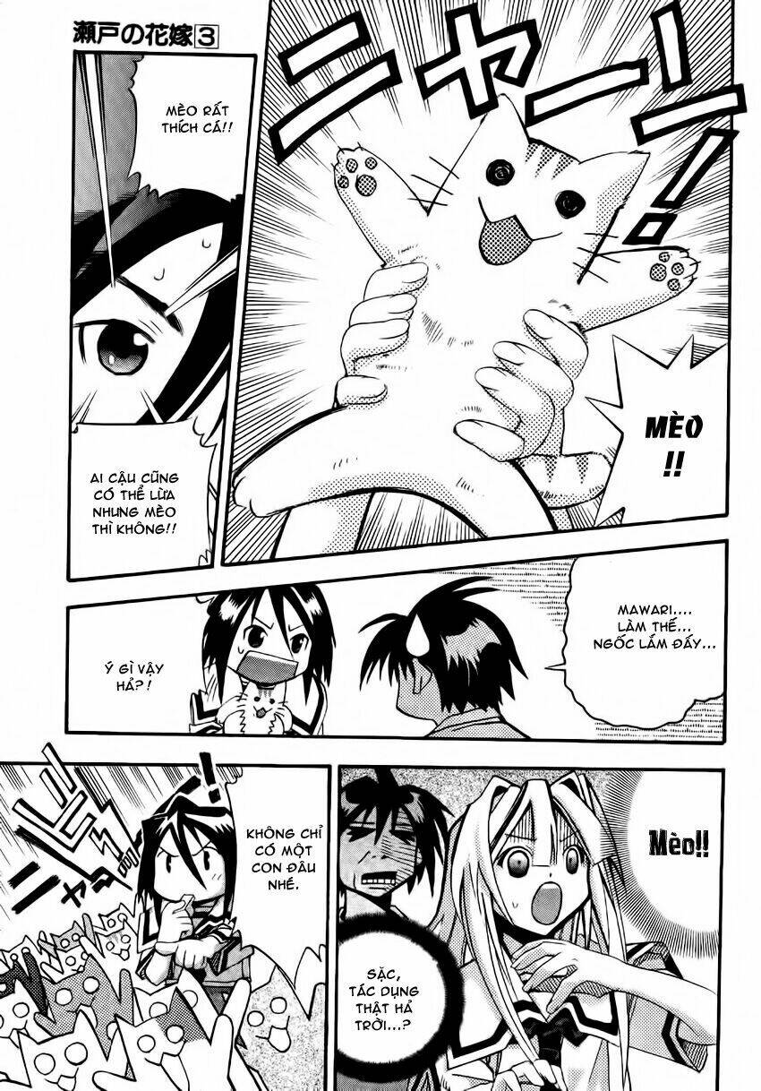 seto no hanayome chapter 11 17