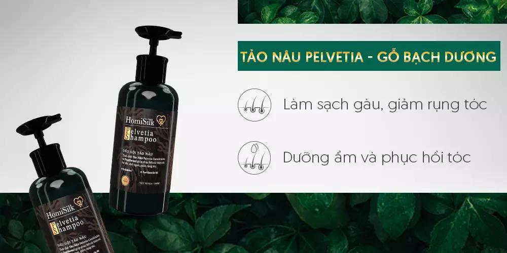 Dầu Gội Tảo Nâu - Pelvetia Shampoo- 500ML- Làm Sạch Gàu, Ngăn Ngừa Rụng Tóc,  Nuôi Dưỡng Phục Hồi Tóc Hư Tổn- Homisilk