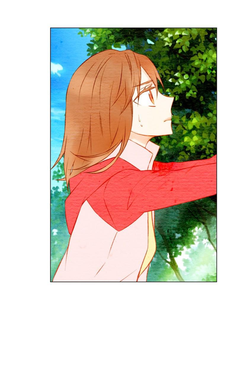 sao chép chapter 12 55