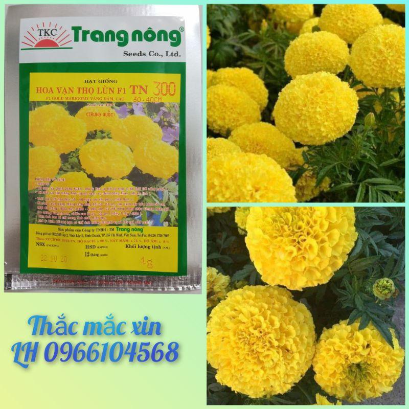 300 hạt giống hoa vạn thọ Mỹ trồng tết Trang Nông