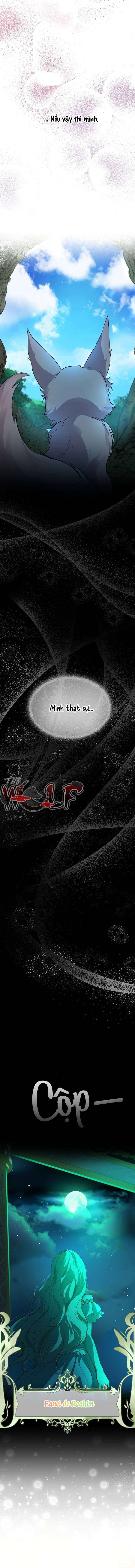 tái sinh thành bé thần thú nhỏ chapter 0 2