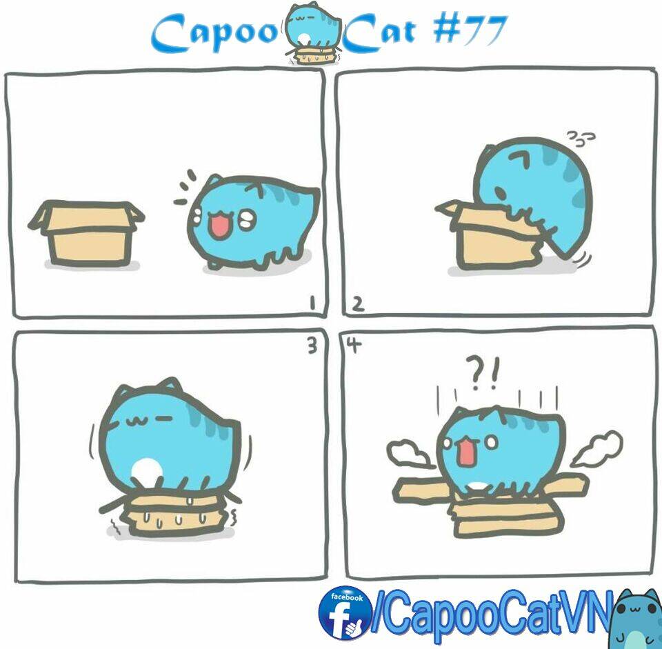 capoo cat chapter 8 7