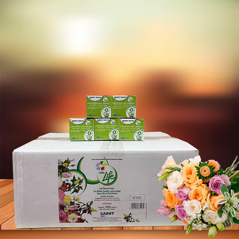 Thuốc Dưỡng Hoa Tươi Cắt Cành Nhập Khẩu Israel hiệu Longlife phù hợp dùng làm nước cắm hoa cho mọi loại hoa tại nhà và 14 ngày không cần thay nước mới