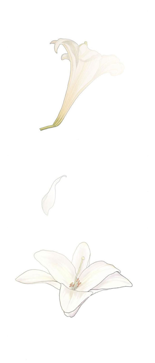 chị yêu, kiếp này em sẽ là hoàng hậu chapter 102.1 1