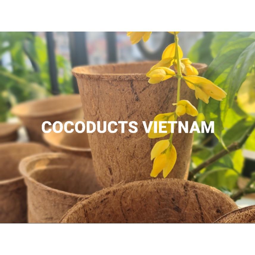 Chậu xơ dừa ép nhiệt Coir Pot (Chậu kiểng lá)