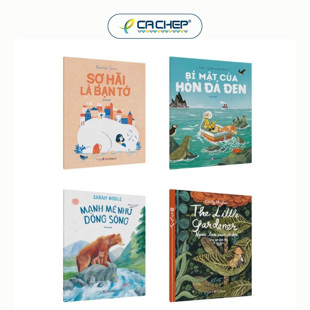 Combo 4 Cuốn Gieo Mầm Trưởng Thành
