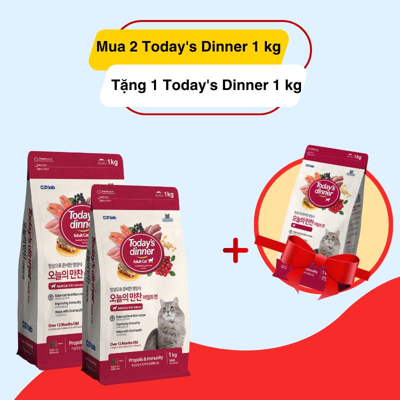 [TODAY'S DINNER 1KG ] Thức ăn hạt cho mèo trưởng thành Hàn Quốc