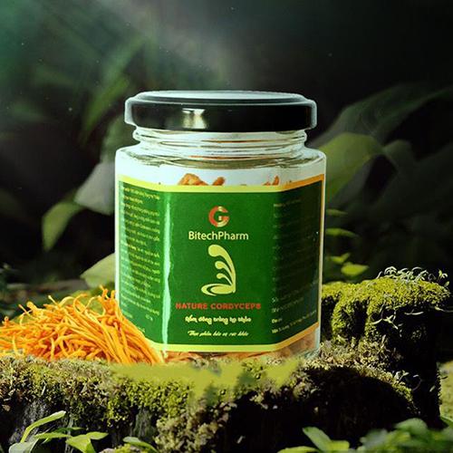 ĐÔNG TRÙNG HẠ THẢO ĐÔNG KHÔ NATURE CORDYCEPS