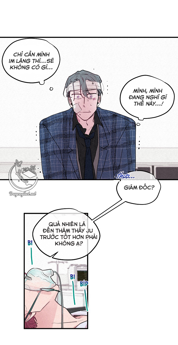 [bl19+] hoa không nở chapter 3 12