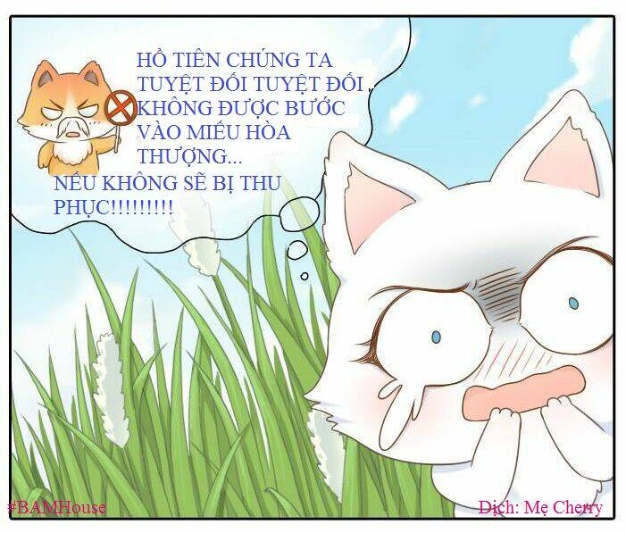 tiểu hòa thượng hd remake chapter 1 8